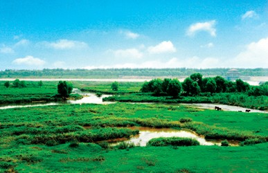 ����늚�ɹ��И���������@ˇ���[��