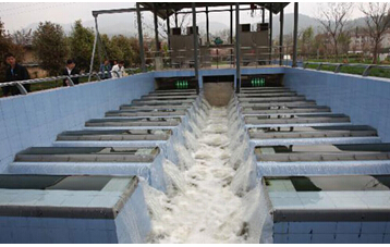 ��������ܹ���ϵ�y���Ͳ����𾫼��������޹�˾�đ���