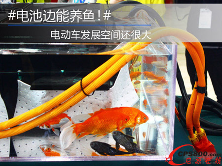 늄���܇늳�߀�����ʲô���ӣ�