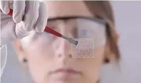 ������ζ̫�� ��ʯīϩ늳ء�������ʲô��