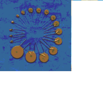 �a(ch��n)Ʒ�D