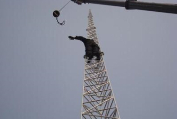 陜西誠和獨立避雷針